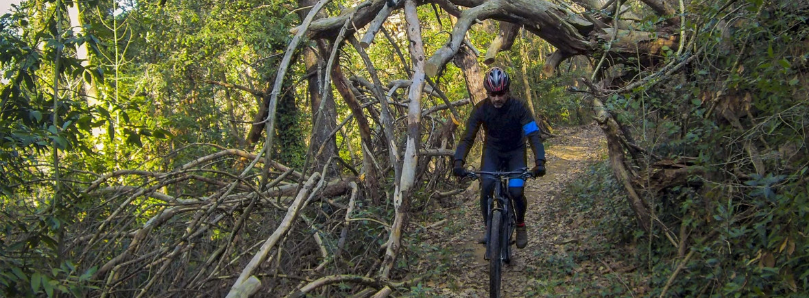 media.Slide-Bike-02-Atlantic-Riviera-Misano