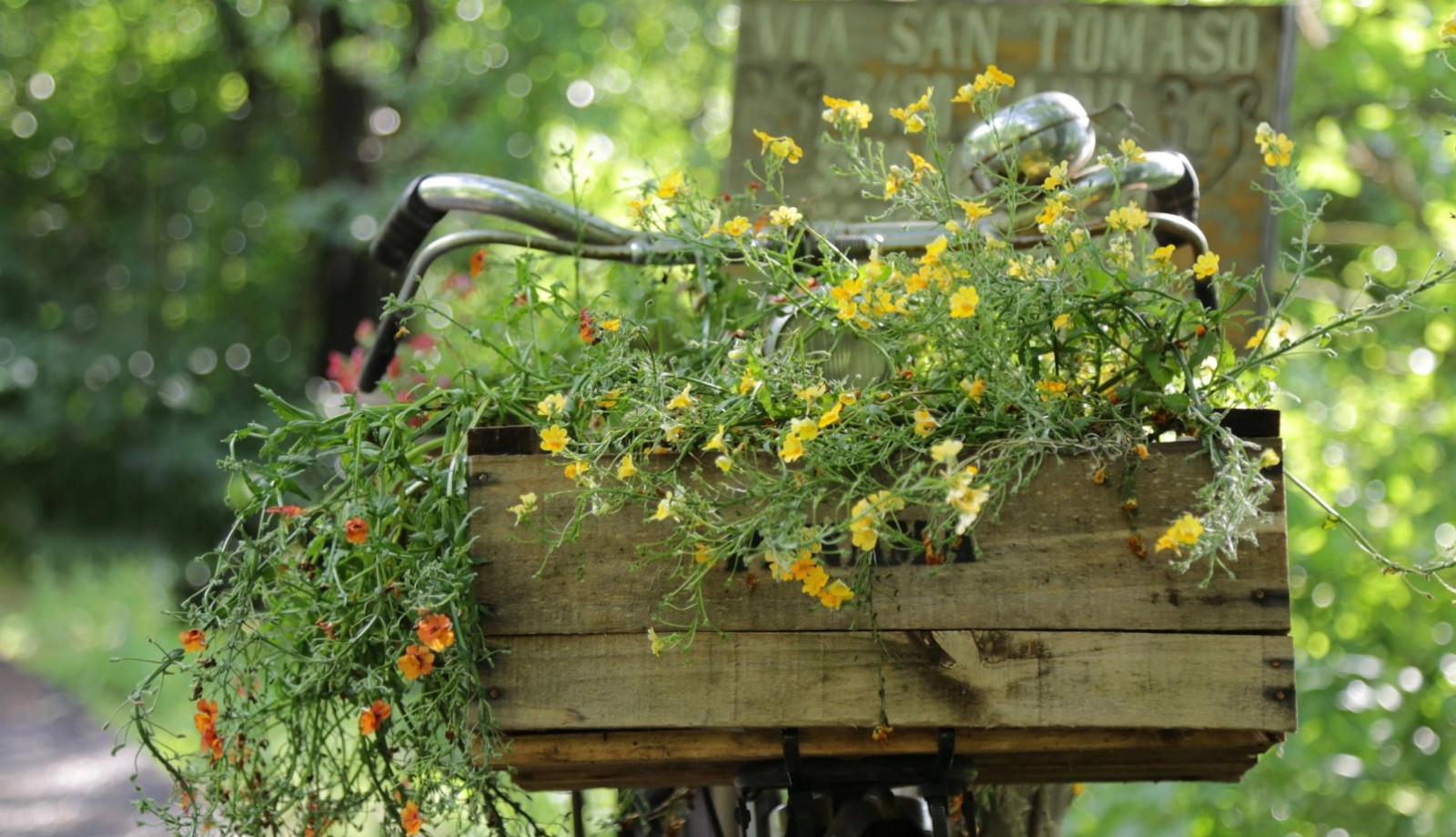 media.100FotoPerLaRomagna-yykk-21-2000x1020