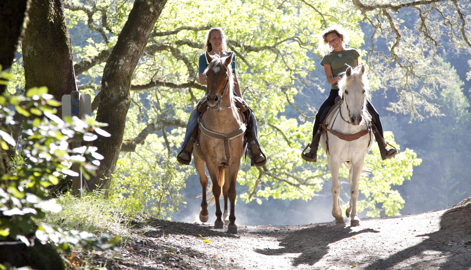 media.Slide-Altri-Sport-01-Atlantic-Riviera-Misano
