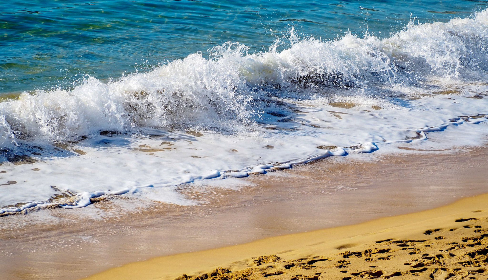 media.il nostro mare